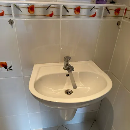 1 * Sokolov